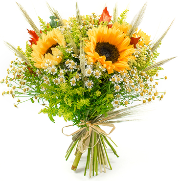 cheap get well flowers by post