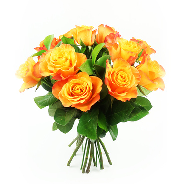 affordable get well flowers online