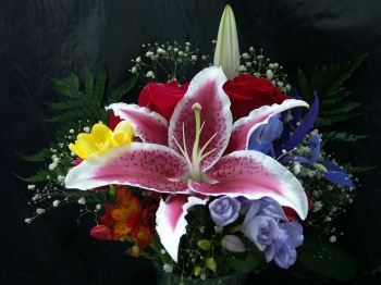 Long lasting flowers and bouquets 