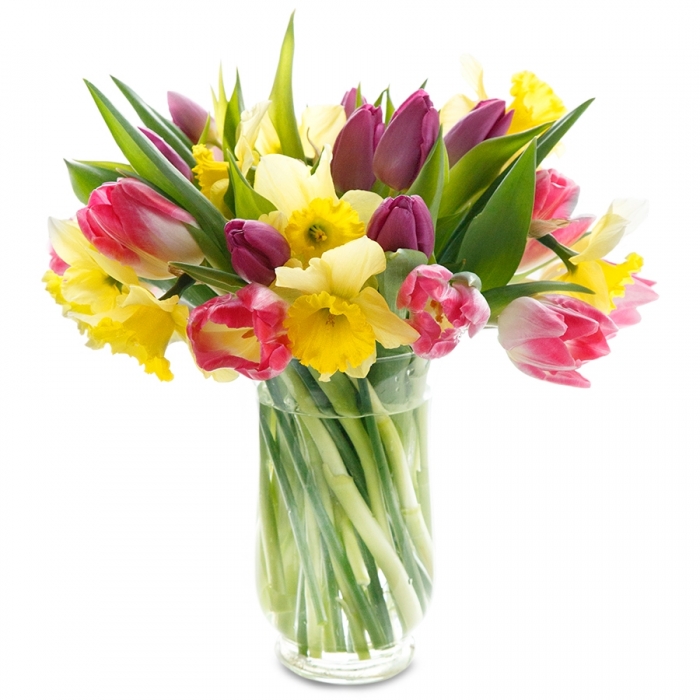 Invite Spring Into Your Home With a Bunch of Spring Blooms