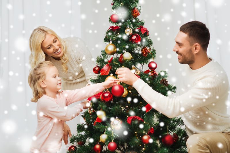 How to Choose the Best Christmas Tree 