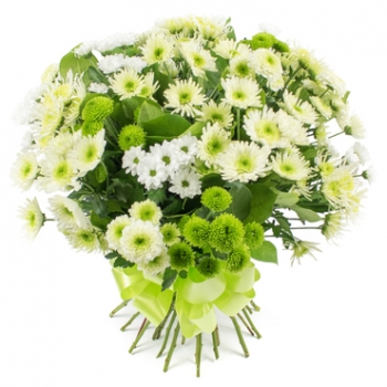 Flowers to Give on St. Patrick’s Day