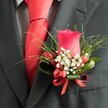 RED ROSE BUTTONHOLE